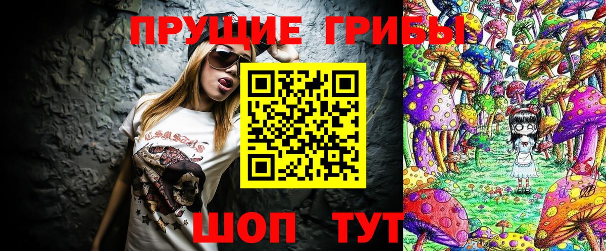 Елабуга  Псилоцибиновые грибы Cubensis  Вход с VPN 