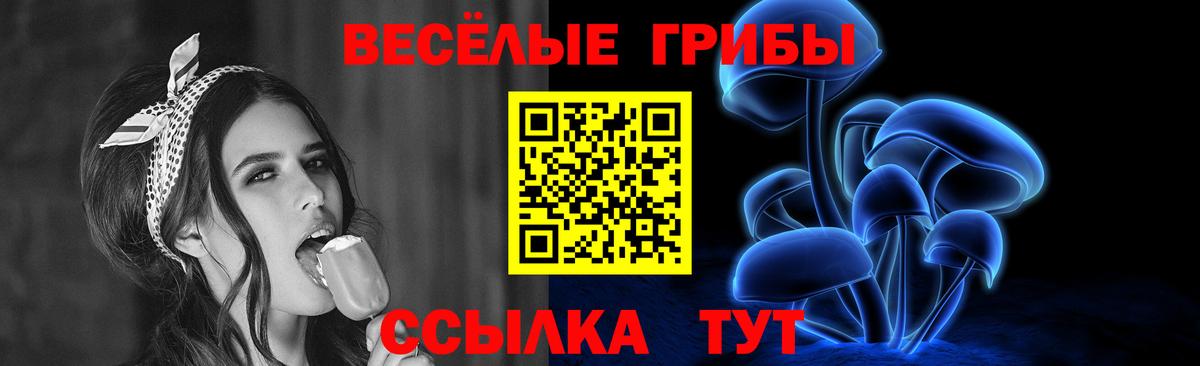Псилоцибиновые грибы мицелий Елабуга